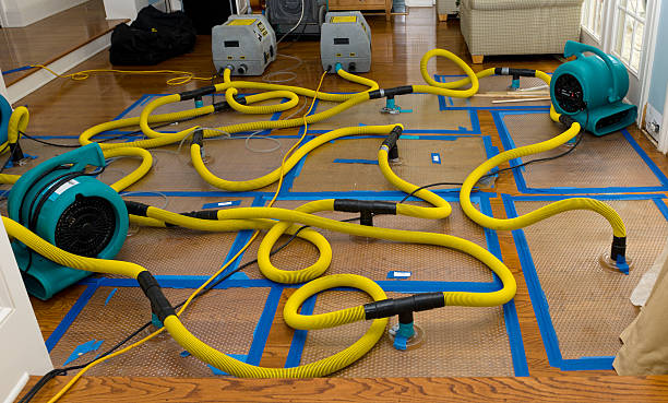 Professional Storm Water Damage Restoration technician working in Inglewood, CA